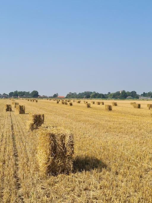 הוילה בוסטון The Hay Barn מראה חיצוני תמונה